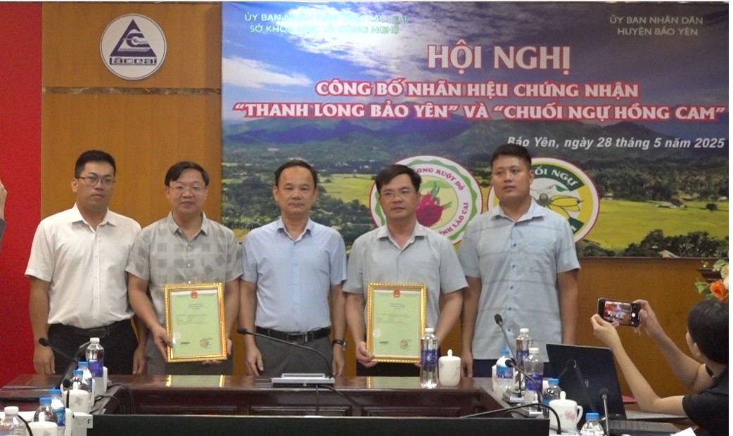Sở Khoa học và Công nghệ tỉnh Lào Cai trao nhãn hiệu chứng nhận cho các sản phẩm. so-khoa-hoc-va-cong-nghe-tinh-lao-cai-trao-nhan-hieu-chung-nhan-cho-huyen-bao-yen.jpg