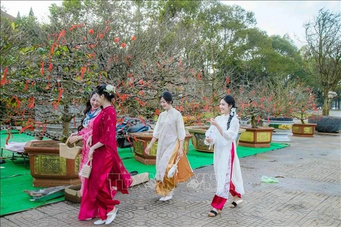 Các bạn trẻ du Xuân sớm tại chợ hoa Xuân, Quảng trường 10/3, thành phố Buôn Ma Thuột, tỉnh Đắk Lắk. Ảnh minh họa: Hoài Thu/TTXVN