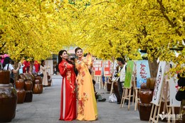 Nhiều sự kiện, hoạt động chào đón năm mới ở TPHCM. Ảnh: Nguyễn Huế Nhiều sự kiện, hoạt động chào đón năm mới ở TPHCM. Ảnh: Nguyễn Huế