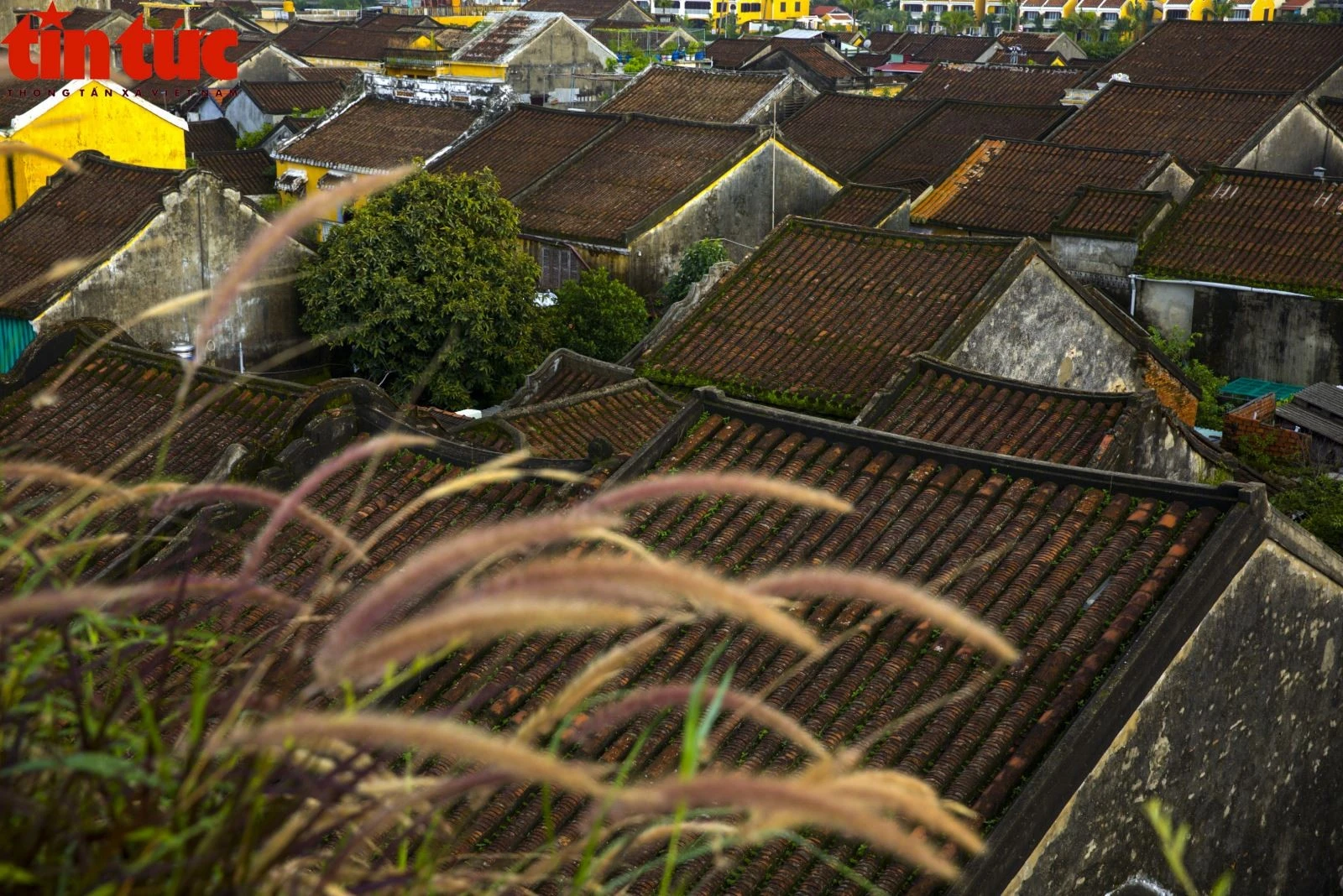 Mái ngói thâm nâu mặc trầm theo thời gian.