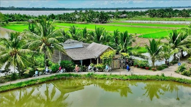 Không gian xanh tại điểm du lịch cộng đồng Cồn Chim (Châu Thành, Trà Vinh). Ảnh: TTXVN phát
