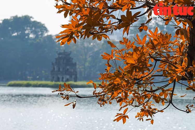 Bắc Bộ đêm và sáng trời rét.