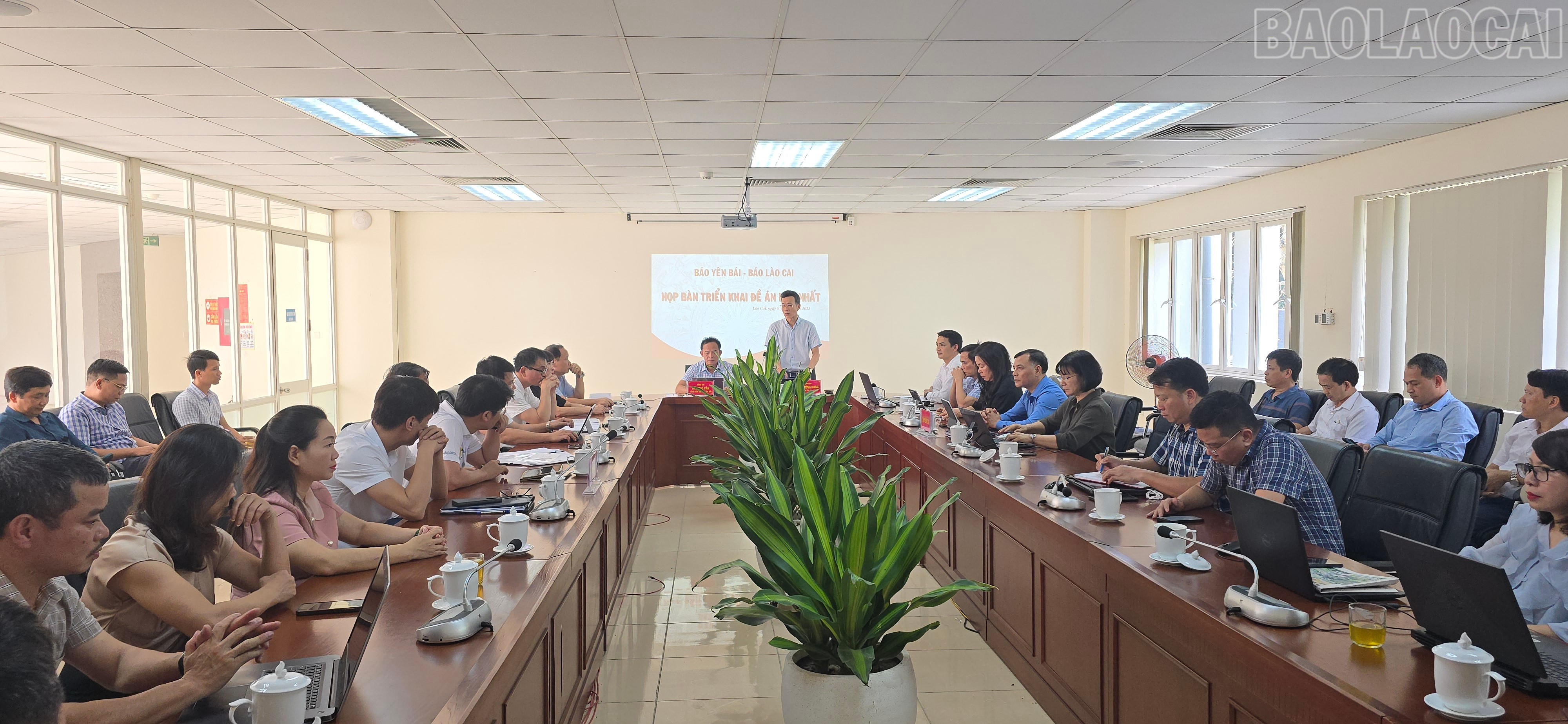 Quang cảnh buổi làm việc. baolaocai-tr_20250606-1442370.jpg