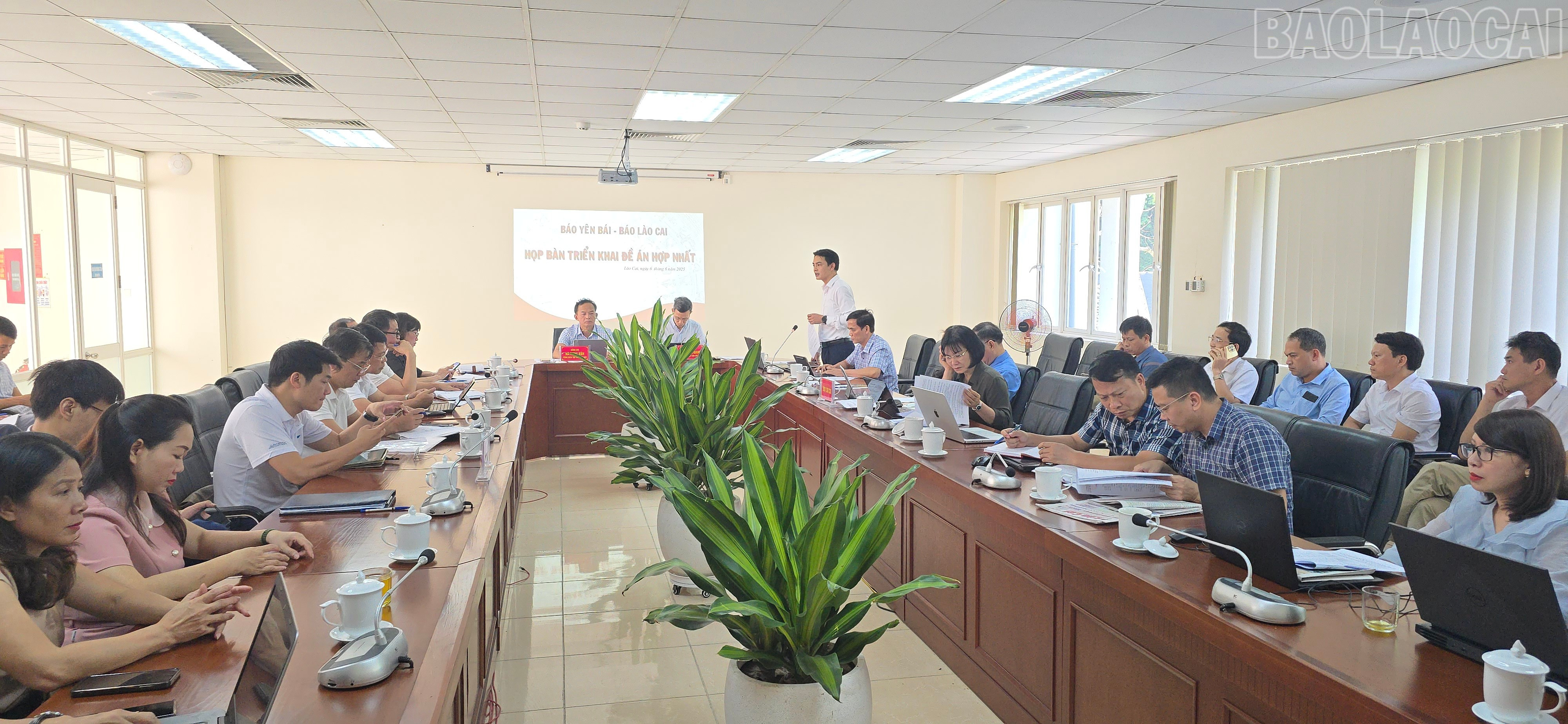Hai cơ quan cùng bàn bạc phương án hợp nhất. baolaocai-tr_20250606-1512400.jpg