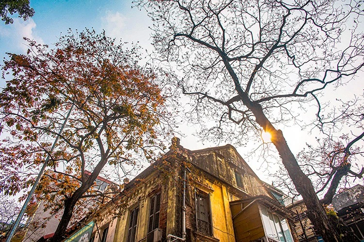 Bắc Bộ trời nắng.