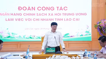Tổng Giám đốc Ngân hàng CSXH Trung ương làm việc với Chi nhánh Ngân hàng CSXH tỉnh Lào Cai