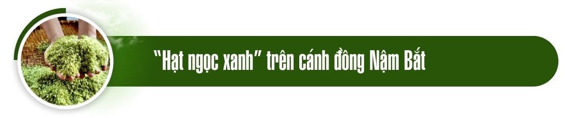 m1.jpg