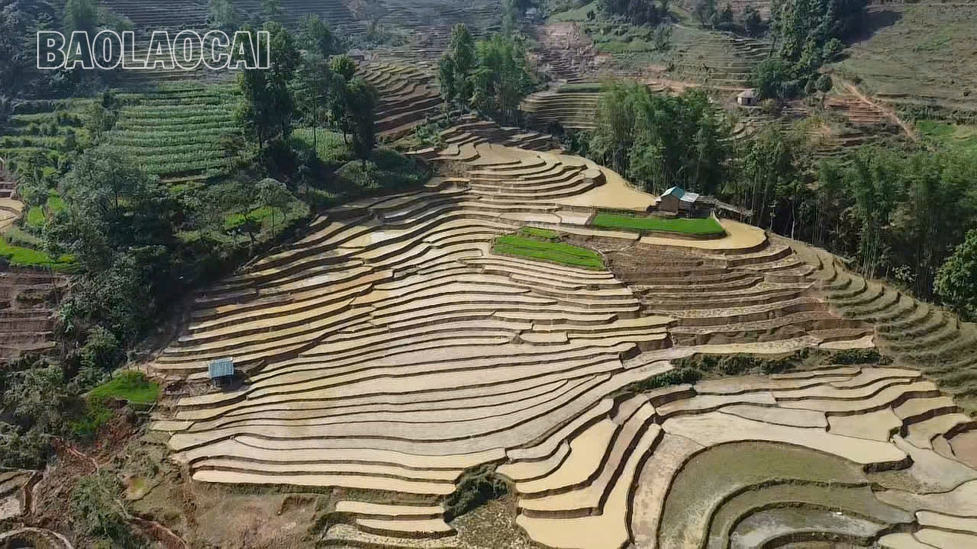 Những thửa ruộng bậc thang đầy ắp nước tạo nên những mảng màu đa sắc, như tấm gương phản chiếu mây trời. y-ty-6.jpg