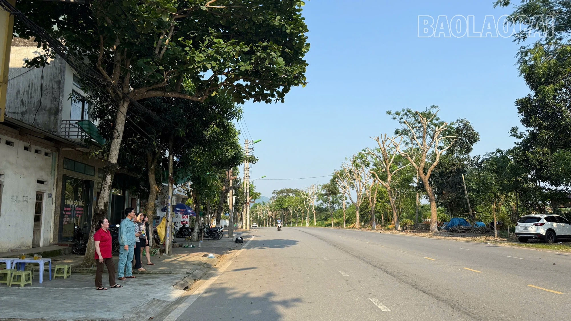 Người dân bức xúc vì hàng cây xà cừ bị cắt trụi vào thời điểm nắng nóng cao điểm.