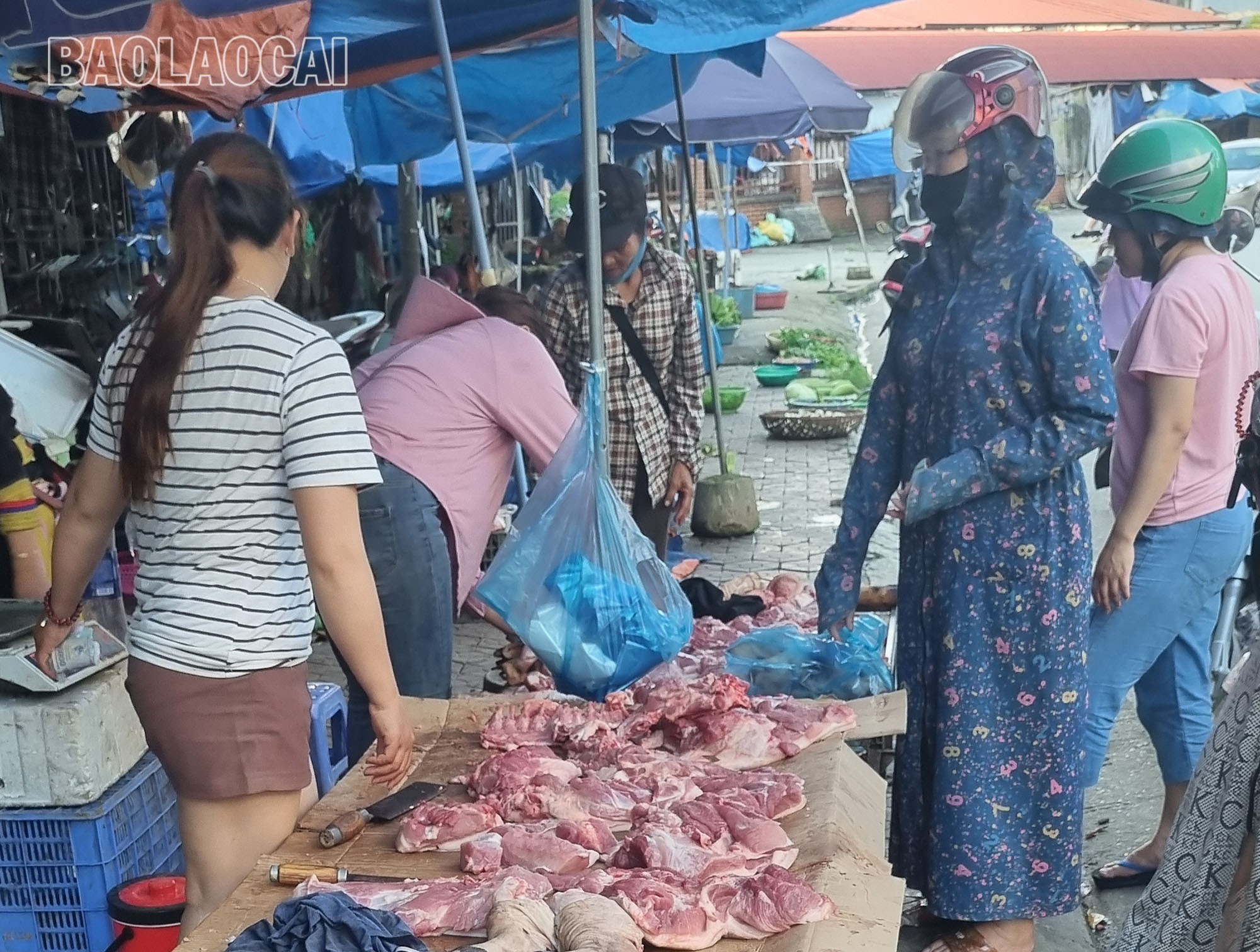 Xử lý nghiêm theo quy định pháp luật đối với các hành vi buôn bán, vận chuyển trái phép lợn và sản phẩm từ lợn (ảnh minh họa). a3.jpg