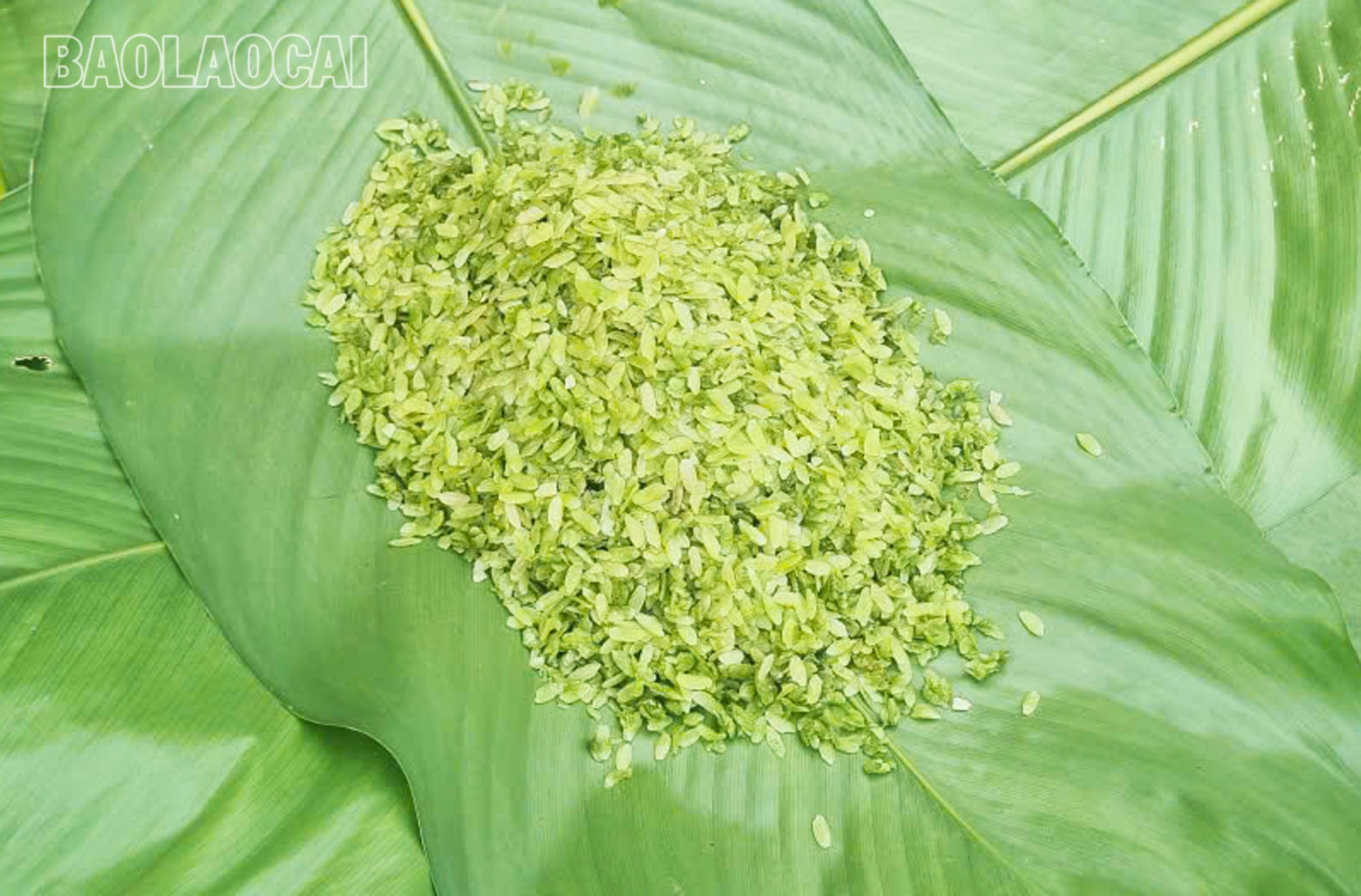 Cốm sau khi làm xong được bọc cẩn thận trong lớp lá dong xanh mướt, giữ cho hương thơm thoang thoảng của cốm hòa quyện với mùi lá. Đây không chỉ là cách gói truyền thống mà còn là nét duyên riêng của cốm Na Lo. Với giá 150.000 đồng/kg, cốm Na Lo trở thành món quà đặc sản được du khách săn đón. Đây không chỉ là sản phẩm kinh doanh mà còn là niềm tự hào của người dân Na Lo khi giới thiệu hương vị quê hương đến với du khách thập phương. com-1-1.jpg