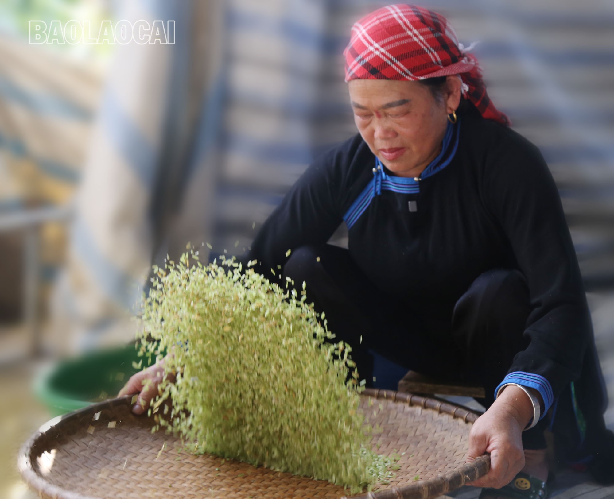 Đôi bàn tay thoăn thoắt, uyển chuyển của người phụ nữ Tày Na Lo đang sàng sảy cốm. Công đoạn này không chỉ cần sự khéo léo mà còn là bí quyết riêng để những hạt cốm sạch, không lẫn tạp chất và giữ được màu xanh non. com-1-4.jpg