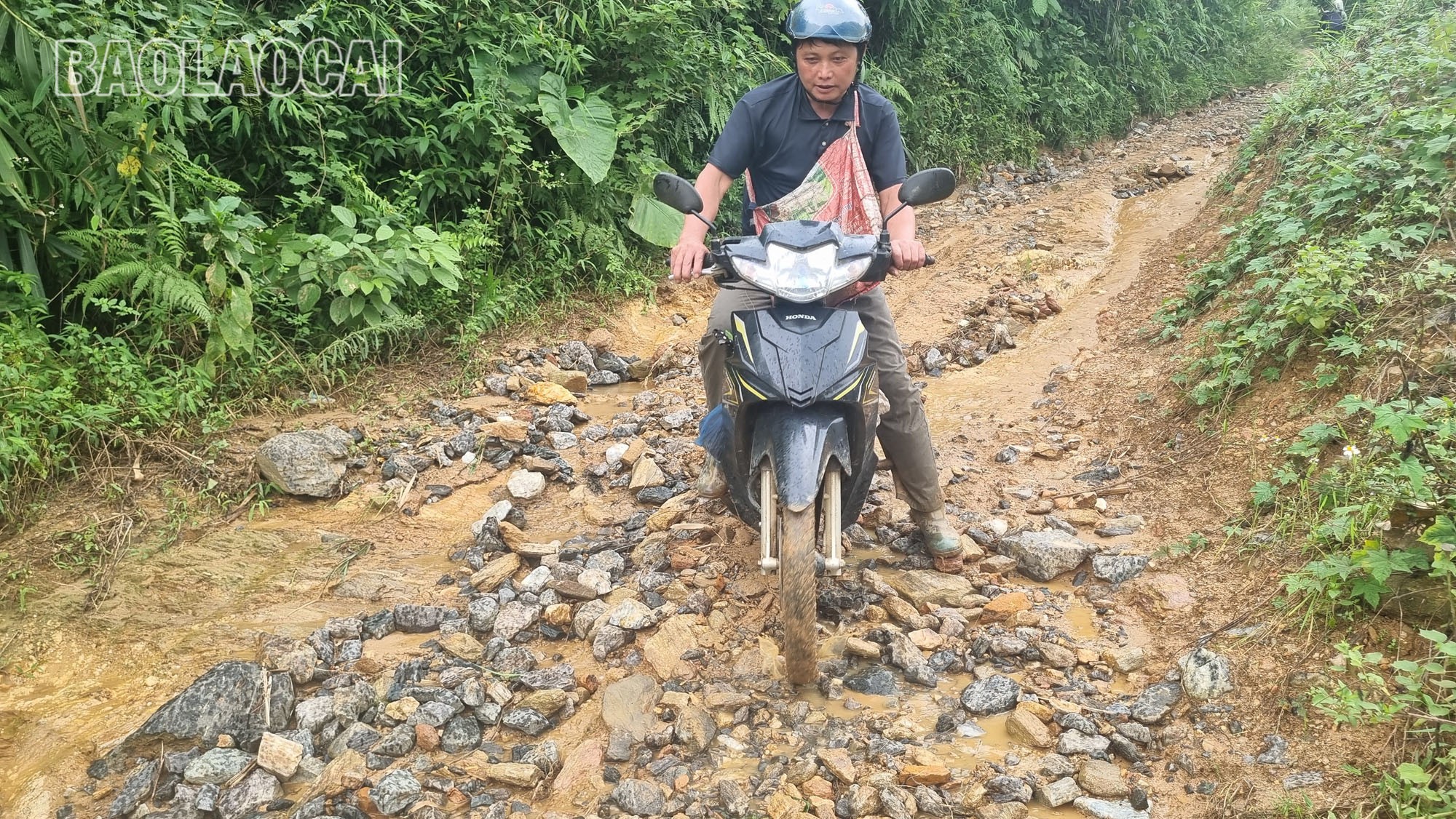 Tuyến đường đã xuống cấp nghiêm trọng khiến việc đi lại của người dân gặp nhiều khó khăn. m1-8.jpg