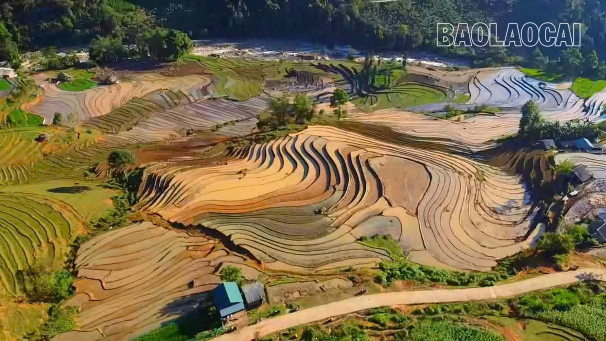 Những thửa ruộng bậc thang uống lượn tạo nên vẻ đẹp độc đáo. Đến đây vào thời điểm này, bạn sẽ cảm nhận được một Y Tý thật khác, nên thơ và quyến rũ. y-ty-10.jpg