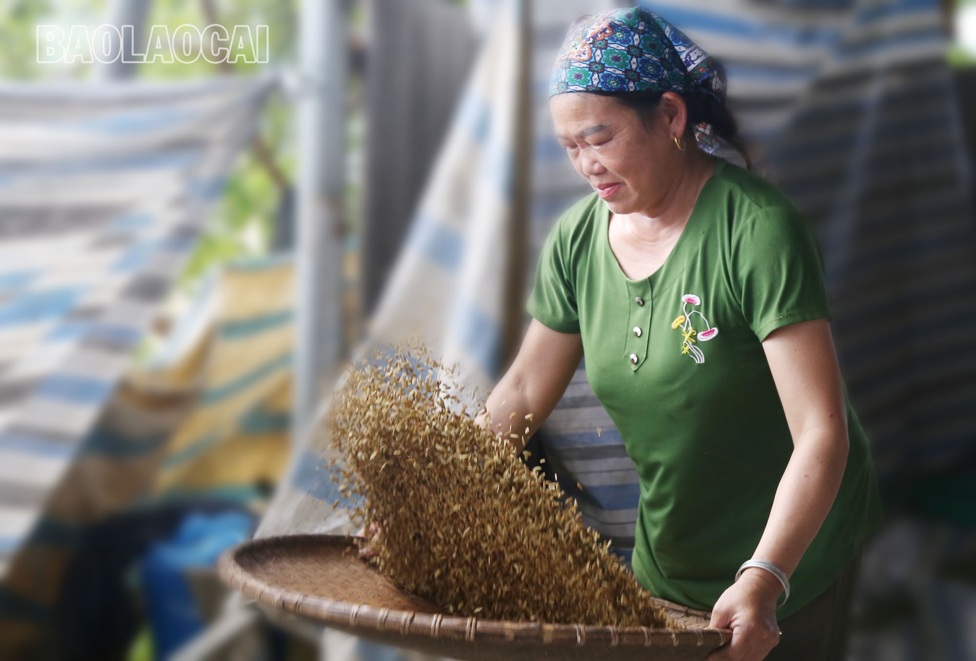 Quy trình làm cốm của người dân Na Lo thực tế rất công phu, tỉ mỉ. Thóc được làm sạch trước khi đem rang trên bếp củi. com-1-8.jpg