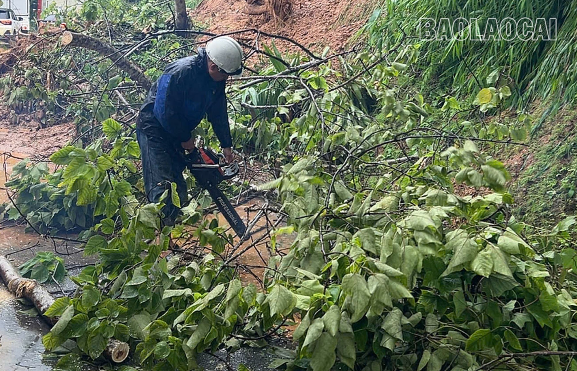 Nhân lực và thiết bị được điều động đến xử lý sạt lở, sớm thông đường. a5.jpg