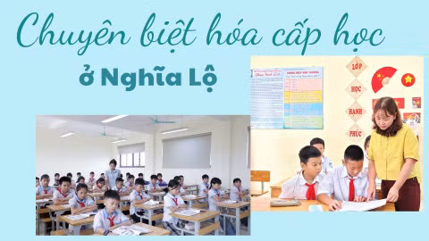 Chuyên biệt hóa cấp học ở Nghĩa Lộ