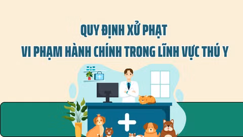 Quy định xử phạt vi phạm hành chính trong lĩnh vực thú y