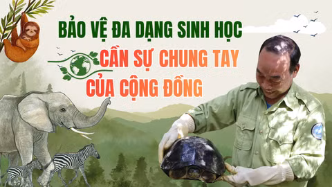 Bảo vệ đa dạng sinh học: Cần sự chung tay của cộng đồng