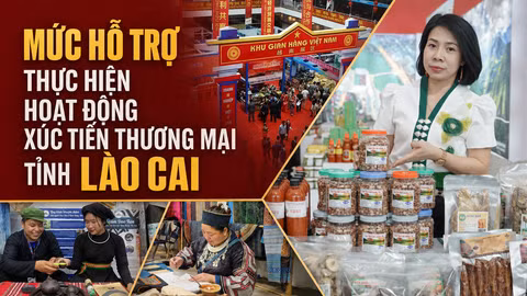 Mức hỗ trợ thực hiện hoạt động xúc tiến thương mại tỉnh Lào Cai