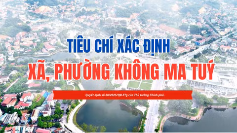 Tiêu chí xác định xã, phường không ma túy