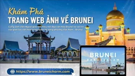 Việt Nam hỗ trợ Brunei quảng bá hình ảnh đất nước, con người