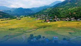 Dương Quỳ sẵn sàng bước vào hành trình mới