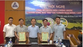 Công bố nhãn hiệu chứng nhận “Thanh long Bảo Yên” và “Chuối ngự Hồng Cam”