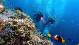 Nha Trang lọt top các điểm đến 'du lịch chậm' hàng đầu châu Á