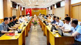 Triển khai đợt cao điểm chống buôn lậu, gian lận thương mại và hàng giả 