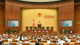 Cán bộ, công chức, viên chức Nhà nước có thể tham gia lực lượng gìn giữ hòa bình