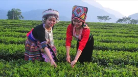 Chủ động, linh hoạt đưa nghị quyết của Đảng vào cuộc sống