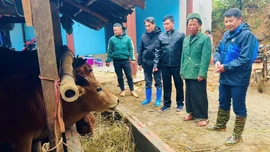 Xã Hạnh Phúc: Dư nợ tín dụng chính sách đạt 137.868 triệu đồng