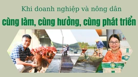 Khi doanh nghiệp và nông dân cùng làm, cùng hưởng, cùng phát triển