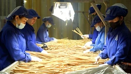 Hợp tác xã đồng hành cùng tỉnh hướng tới mục tiêu phát triển bền vững