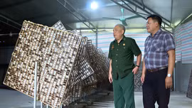 Cựu chiến binh phường Âu Lâu bản lĩnh trên mặt trận kinh tế