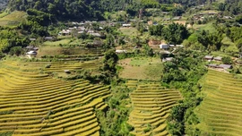 Bí thư chi bộ hết lòng vì dân 