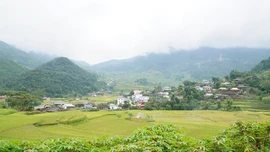 Một góc thôn Lừu 1 xã Hạnh Phúc.