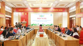 Đánh giá, phân hạng 34 sản phẩm OCOP cấp tỉnh năm 2025