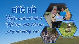 Bắc Hà: Hiệu quả mô hình “Hỗ trợ sinh kế cho phụ nữ vùng cao”