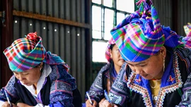 Ánh sáng từ những lớp xóa mù chữ 