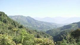 Trạm Tấu chủ động phòng, chống cháy rừng trong mùa khô hanh