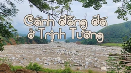 [Ảnh] Cánh đồng "đá" ở Trịnh Tường