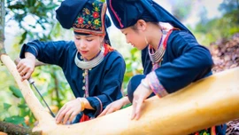 Mùa quế dóc vỏ