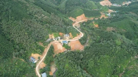  Tỉ lệ che phủ rừng của xã Quy Mông đạt 73,3% 