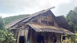 Lào Cai: Mưa lớn kèm dông lốc làm 1 người bị thương, 35 ngôi nhà bị tốc mái
