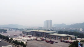 Chủ động “giữ nhịp” vận hành các cửa khẩu dịp Tết Nguyên đán