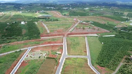 Miễn thuế sử dụng đất nông nghiệp đến hết ngày 31/12/2030