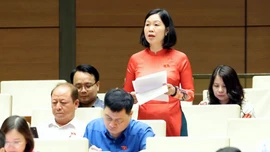 Đại biểu Nguyễn Thị Lan Anh đề xuất 4 nhóm kiến nghị về y tế