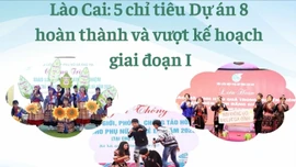 Lào Cai: 5 chỉ tiêu Dự án 8 hoàn thành và vượt kế hoạch giai đoạn I